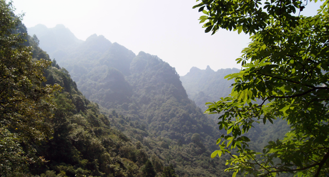 金秋登金頂，問(wèn)道武當(dāng)山